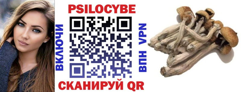 Псилоцибиновые грибы Psilocybe  Лиски 
