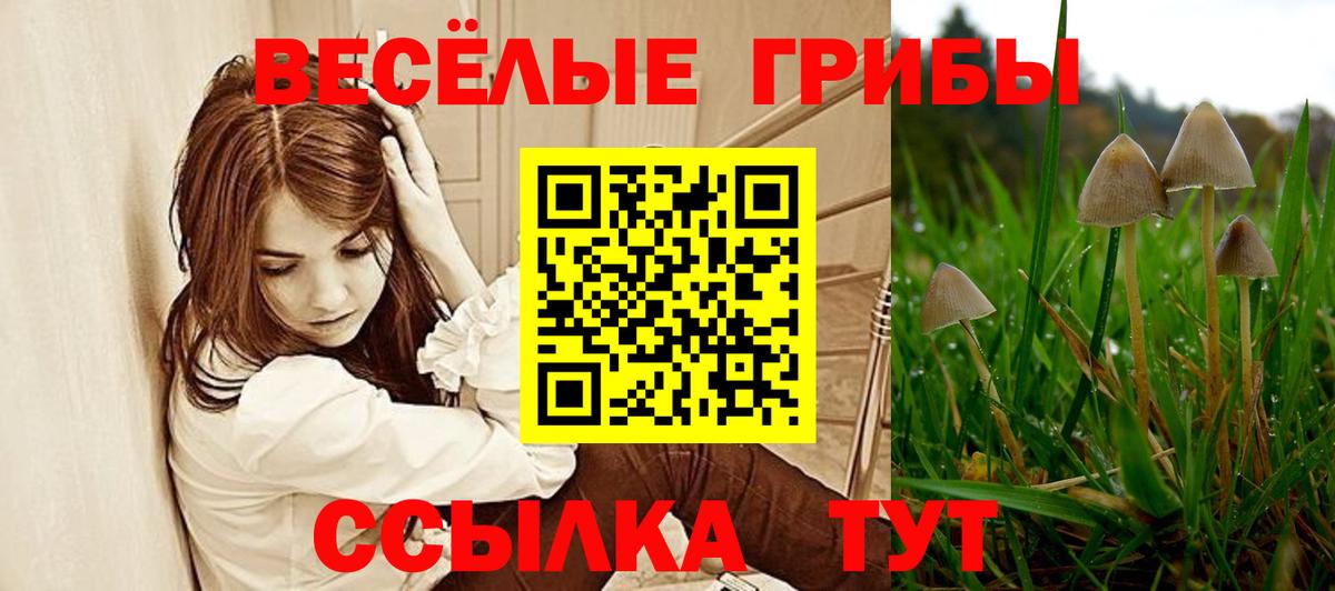 Галлюциногенные грибы мицелий  Псилоцибиновые грибы MAGIC MUSHROOMS  Вход с VPN  Лиски 