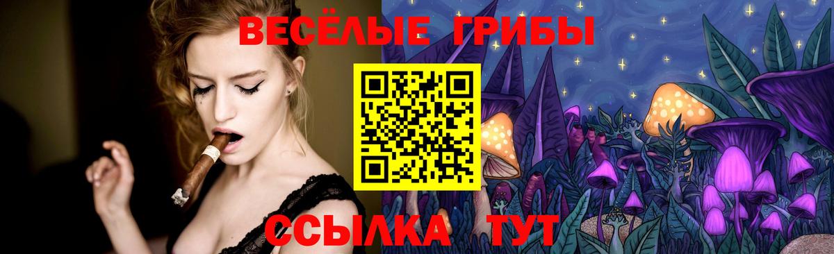 Галлюциногенные грибы Psilocybe Лиски